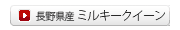 쌧 ~L[NC[