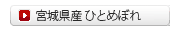 {錧 ЂƂ߂ڂ