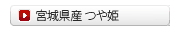 {錧 P