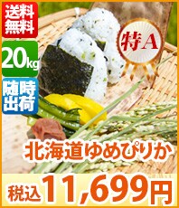 kC߂҂肩20kg
