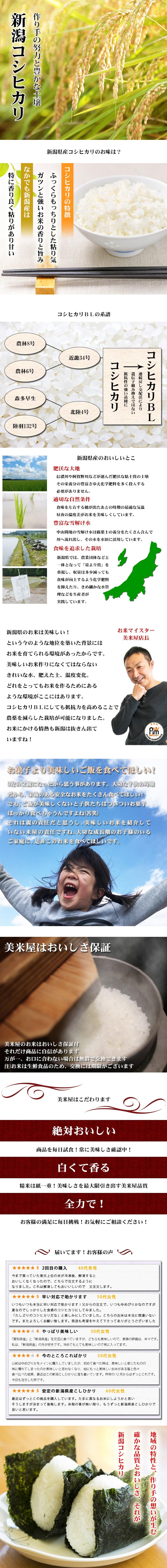 ヤマダモール | 新米 米 無洗米 20kg 新潟県産 コシヒカリ 5kg×4 ヤマダモール | 新米 米 無洗米 20kg 新潟県産 コシヒカリ 5kg×4