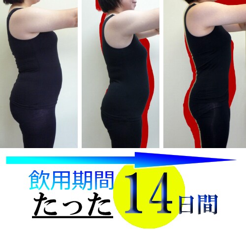 注 意 当サプリは贅肉を分解して流し落とすことを目的としており非常に強力です 5kg程度の減量をお考えの方には効き過ぎる可能性が御座いますので購入をお控えください モニター0名の平均減量値は 15 4kg 飲用される方は必ず 体重計にお